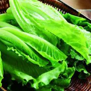 【生菜的營養(yǎng)價值】生菜的功效與作用