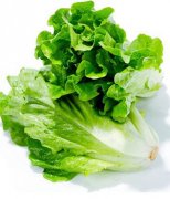 【生菜怎么做好吃】生菜的做法大全_生菜的熱量