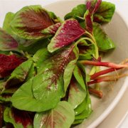 【莧菜的功效與作用】莧菜的營養(yǎng)價值