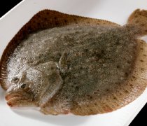 【多寶魚是比目魚嗎】多寶魚價格是多少_多寶魚有什么功效