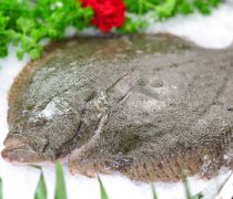 【多寶魚是淡水魚嗎】多寶魚的營養(yǎng)價值_多寶魚的食用禁忌