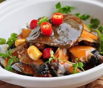 【甲魚怎么殺】甲魚的做法大全_甲魚的營養(yǎng)價(jià)值