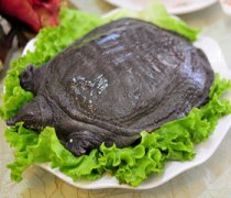 【喝甲魚血能治陽(yáng)痿嗎】治陽(yáng)痿的食物_治陽(yáng)痿的穴位