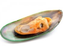 【蛤蜊怎么洗】蛤蜊的做法_蛤蜊的營養(yǎng)價值