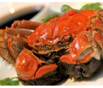 【青蟹怎么殺】青蟹是什么_青蟹的營(yíng)養(yǎng)