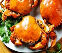 【青蟹死了能吃嗎】青蟹怎么保存