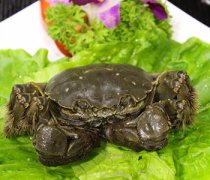 【活的青蟹怎么保存】青蟹怎么吃_如何挑選青蟹