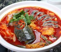 【鯰魚的營養(yǎng)價值】鯰魚的做法大全_鯰魚燉茄子