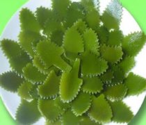 【海帶的做法】海帶的營養(yǎng)價(jià)值_海帶的功效