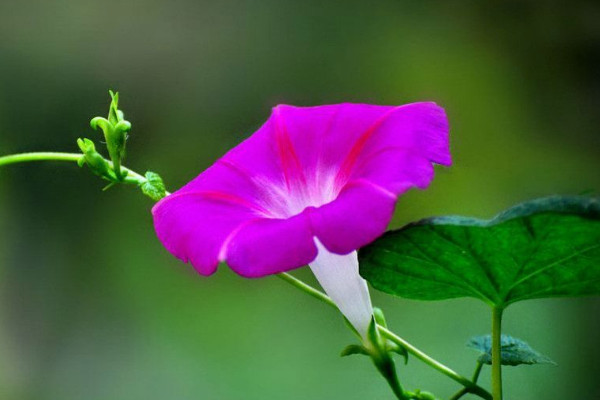 牽?；ㄇ锾炜梢栽谑覂确N嗎