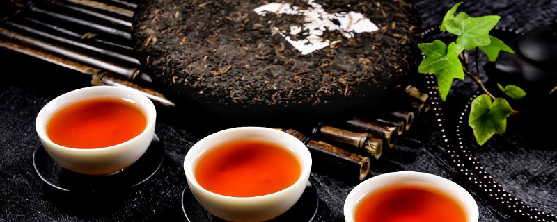 普洱茶樹(shù)在北方怎樣種植