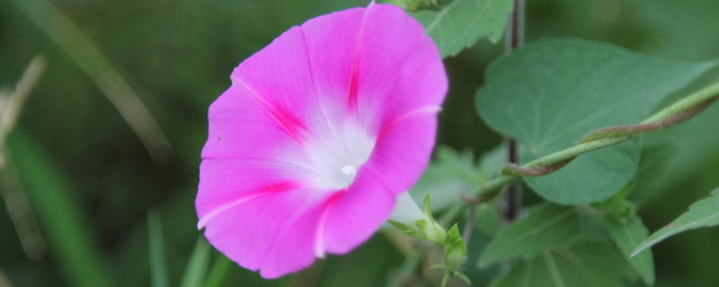 牽?；ㄒ圃院笮氯~變干怎么辦