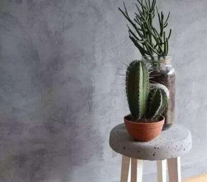 仙人掌的養(yǎng)殖方法和注意事項(xiàng)，小白都能學(xué)會(huì)的種植方法和技巧