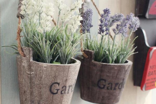薰衣草盆栽的種植方法，薰衣草種植的5大要點(diǎn)
