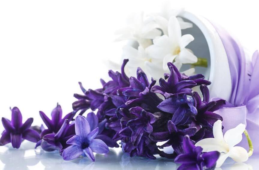 風(fēng)信子花期是什么時(shí)候，不同的品種不同的時(shí)間