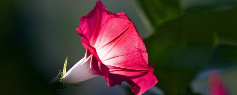 牽?；ㄈ绾吻げ宸敝? data-MS1M=