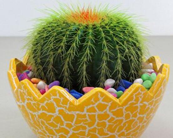 仙人球爛了怎么辦，及時修剪爛根、消毒/保持通風(fēng)透氣