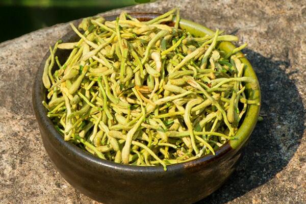 金銀花孕婦能喝嗎，只能少量飲用