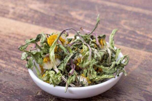 蒲公英根茶能長期喝嗎，每星期飲用3~4次即可