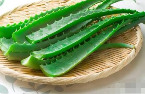 蘆薈的功效，美容養(yǎng)顏、防御病菌、減肥止痛