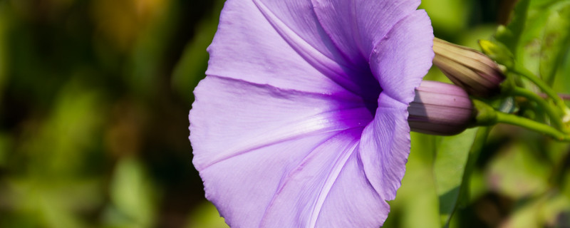 牽?；ㄏ奶炜梢员駟? data-FKpF=