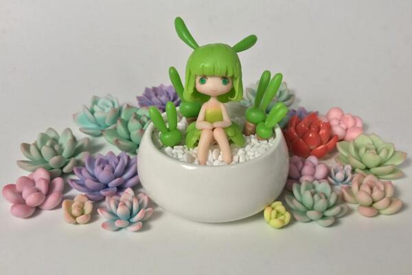 碧光環(huán)怎么養(yǎng)殖，5步教你養(yǎng)好碧光環(huán)