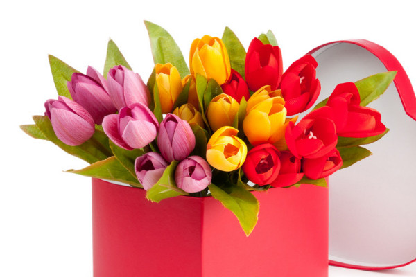 郁金香怎么種長(zhǎng)得快