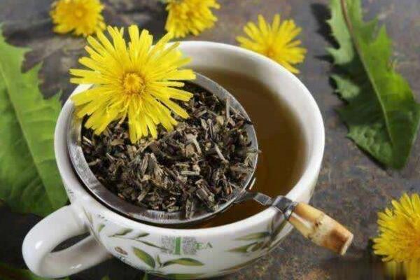 蒲公英茶哪些人不宜喝，體質(zhì)虛寒、過(guò)敏、孕婦都不宜飲用