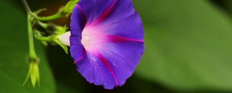 牽?；ㄈ绾渭舨蛔屗捞? data-arp1=