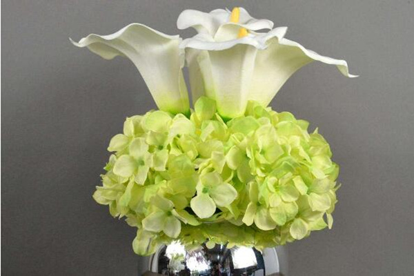 馬蹄蓮插花瓶能養(yǎng)多久，養(yǎng)護(hù)得當(dāng)可保存半個月以上