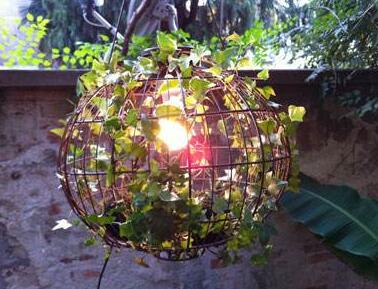 常春藤怎么水培，勤換水并且第一次要澆透營養(yǎng)液