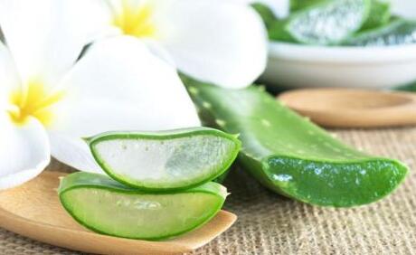 蘆薈美容的使用方法，自制美容小妙招
