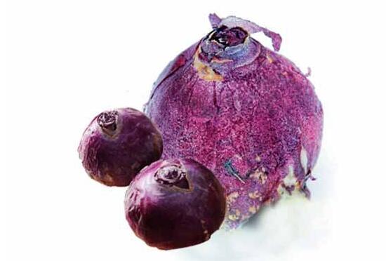 風(fēng)信子種球發(fā)霉怎么辦，涂抹滅菌靈、保持創(chuàng)面干燥