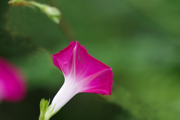 牽?；ㄊ┓试谀膫€(gè)階段