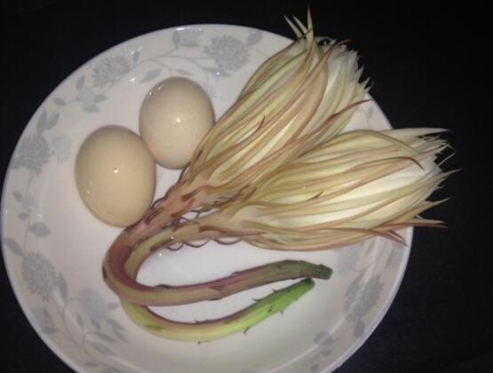 新鮮曇花怎么吃，泡茶喝最為簡單食用(價(jià)值高)