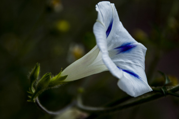 牽?；荛L(zhǎng)多高