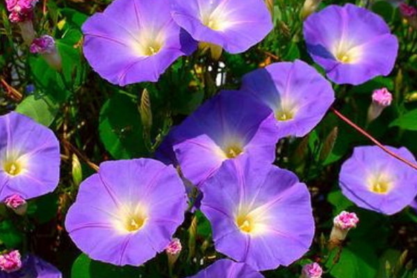 牽?；ㄊ┓试谀膫€(gè)階段