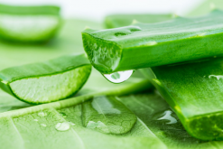 蘆薈美容的方法，如何正確使用蘆薈美容
