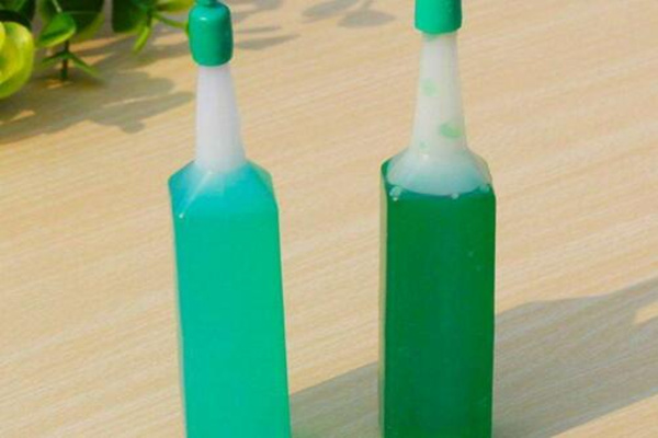 六月雪放水里會生根嗎，可以生根但需要更加細心的養(yǎng)護