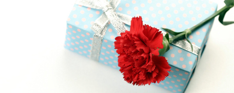 康乃馨如何養(yǎng)護