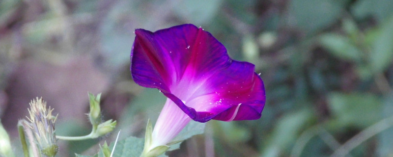 牽?；ㄓ惺裁醋饔? data-Ca9b=