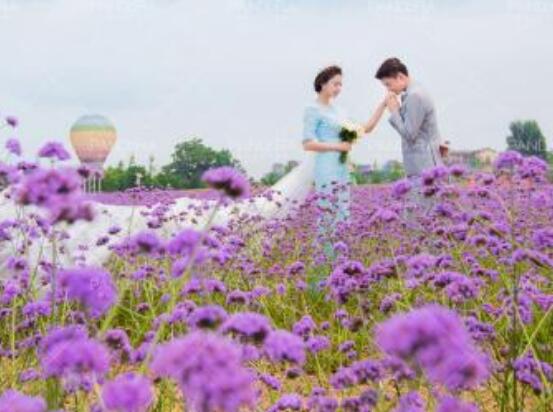 薰衣草的花語(yǔ)是什么，代表著心心相印、愛(ài)情的等待