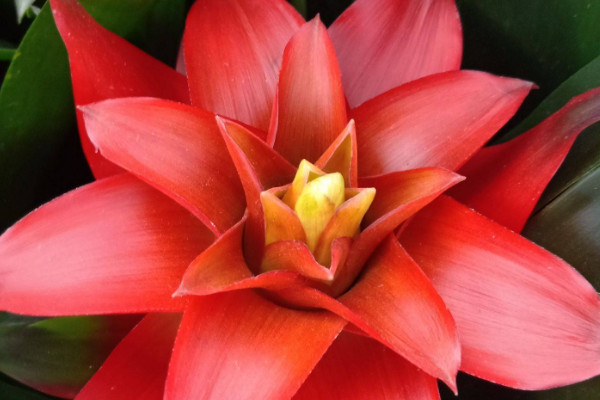 鴻運(yùn)當(dāng)頭怎么管理