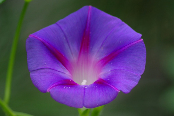 牽?；萘嗽趺崔k