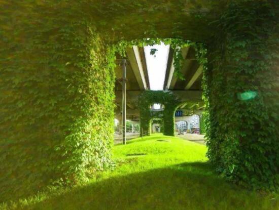 爬山虎和常春藤怎么區(qū)分，盤點三種區(qū)別方法(屬性/株型/生長習性)