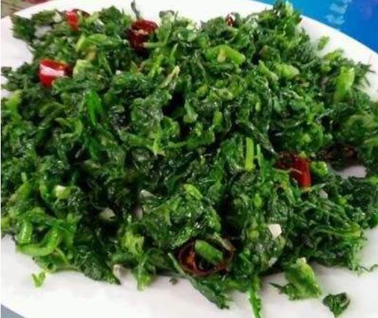 萬年青怎么吃，可制作成一道道佳肴美味的菜譜(四種吃法)