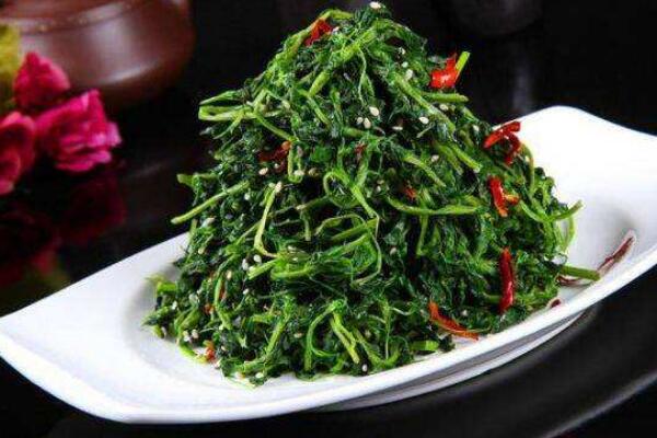 蒲公英怎么吃，涼拌、炒菜、煲湯