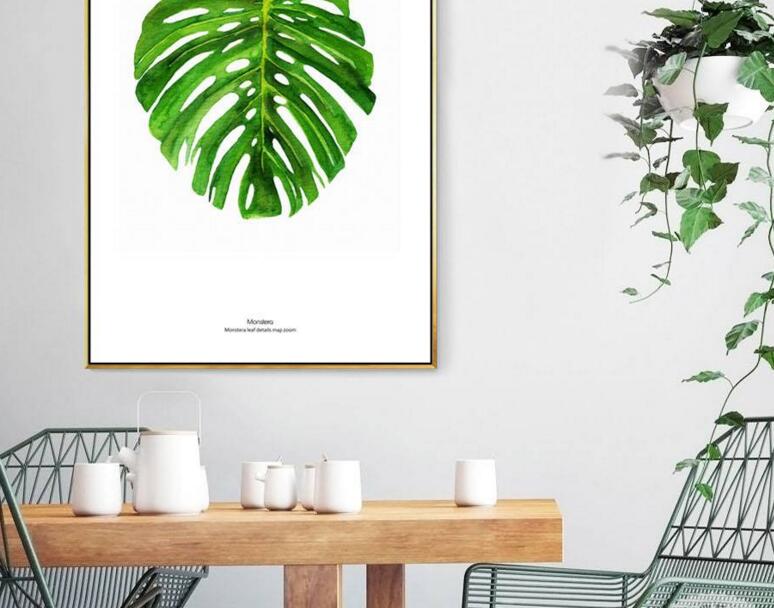 龜背竹放客廳風(fēng)水好嗎，對(duì)事業(yè)有助/對(duì)愛情有削弱的作用