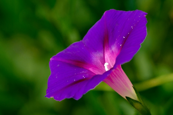 牽?；萘嗽趺崔k