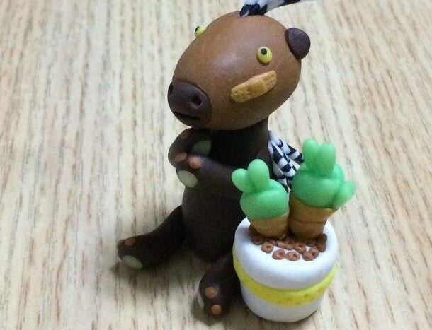 碧光環(huán)怎么繁殖，分播種和扦插兩種方法